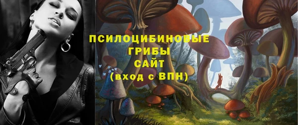 спиды Алзамай