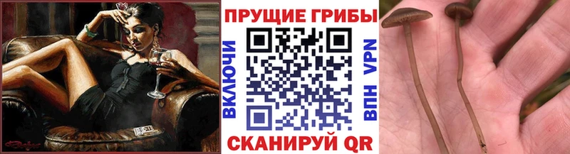 Галлюциногенные грибы прущие грибы Уфа
